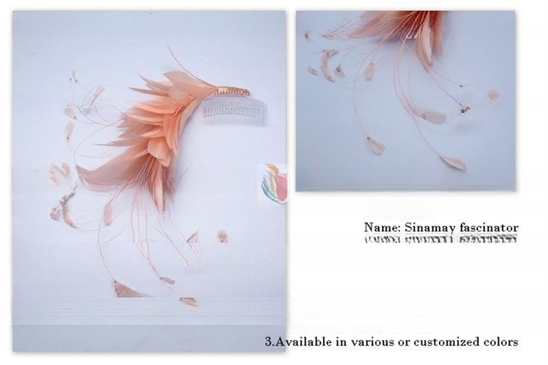 Stripped Goose Flower Feather Headband , Year Occasion Feather Flower Crown