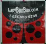 Large BOPP Laminated Bags