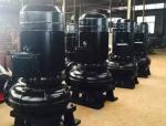 10m Submersible Motor Pump