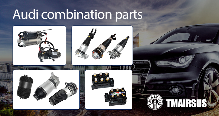 Audi-_07.jpg