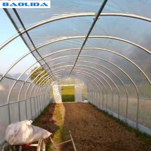 Quality Plastic Covering Polyethylene Film Greenhouse / Single Span Tunnel Flower Power Greenhouse wholesale