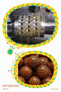 Quality Starch Soft Capsule Mould wholesale