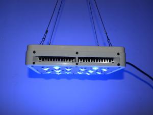 Quality 200W COB GROW indoor LED plant grow light Indoor Aquaponics Grow Lights hydroponics system wholesale