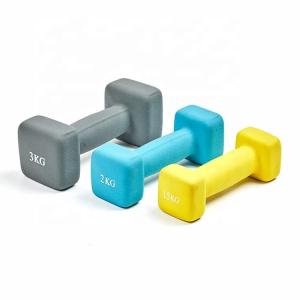 Quality Custom Colorful Vinyl Coated Cast Iron Dumbbell Square Shaped wholesale