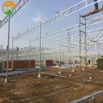 Large Polycarbonate Greenhouse for Vegetable and Flower Cultivation