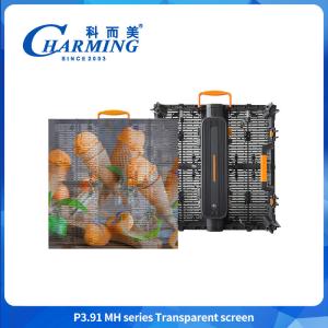 Quality P3.91 IP65 Transparent Video Wall Led Display Winproof Outdoor 500*500mm wholesale
