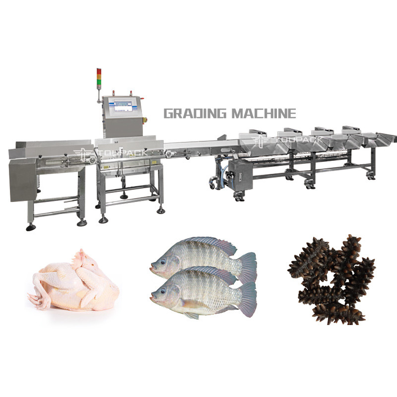 Apple Onion Shrimp Garlic Fish Sea Cucumber Grading Machine Intelligent Full Color Touch Screen