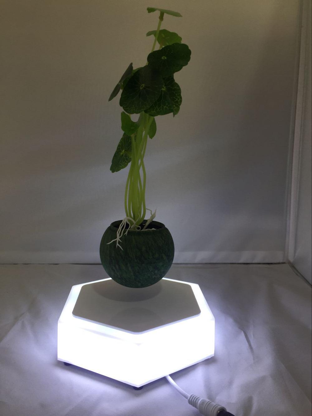 new christmas gift magnetic floating levitation air bonsai potted plant trees