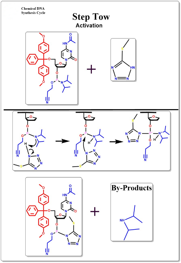 Single-channel Oligo Synthesis Platform Manufacture DNA And RNA In 6-8 Minutes