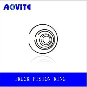 Quality TEREX TRUCK PISTON RING /O RING /SEAL wholesale