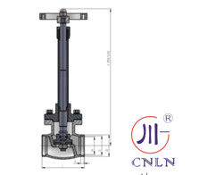 Cryogenic Globe Angle Valves For LNG LOX LIN LAr CO2 for cryogenic tank -196