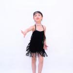 Spandex Lining Latin Dance Costumes All Flying Fringes 4 Layered Tiered Dress