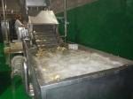 SUS304 10TPH Fruit Vegetable Washing Machine Stepless Shift