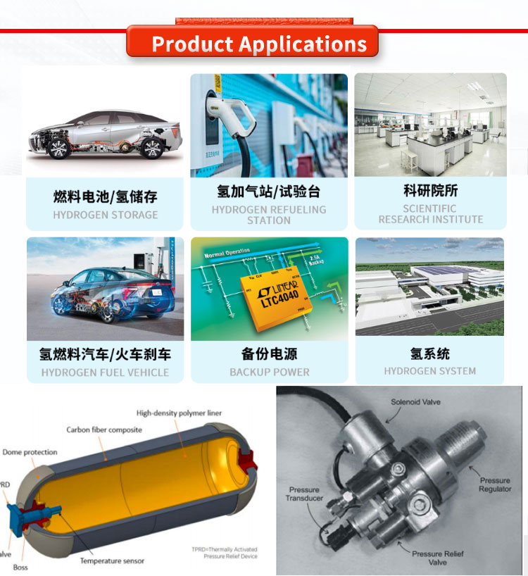 TE Hydrogen Storage and Motive Line Pressure Sensor for Fuel Cell Mobility EC-79 316L
