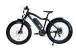 Hot Sale Electric Mountain Bike 26 Inch Fat Tire Electric Bicycle 48V 750W