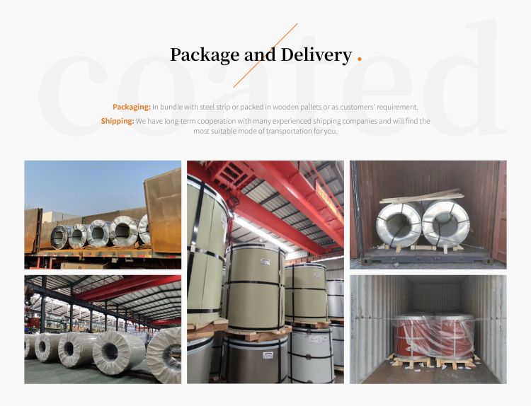 Z40 Z60 Z80 M4 M5 0.27mm 0.3mm Oriented Silicon Steel Coil Galvanized Steel Sheet Metal Roll Coil with PVOC Certificate