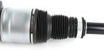 1663202613 Air Suspension Parts Air Suspension Strut