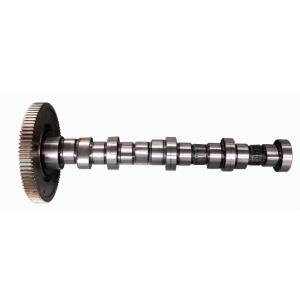 Quality Camshaft 04293674 04255924 04501562 04251114 04202616 0429 3674 0425 5924 0450 1562 0425 1114 0420 2616 4293674 4255924 4501562 4251114 4202616 for wholesale