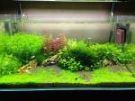 Plastic Window Magnet Aquarium Cleaning Tool