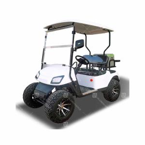 Quality Small White Electric 2 Seater Golf Cart Customization wholesale