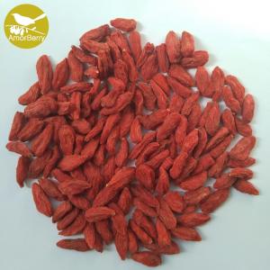 Quality China supplier dried medlar wolfberry goji berryNew Crop Dried Chinese Medlar wholesale