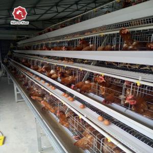 Quality Q235 Steel Mire Battery Layer Chicken Cage Breeding Hens Cage wholesale