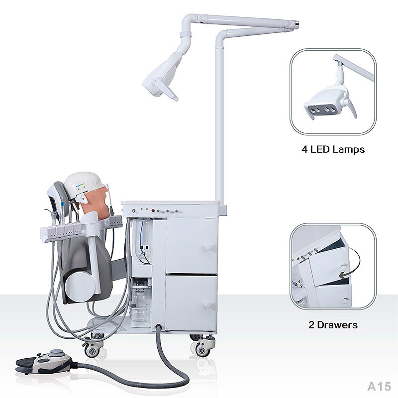 College School Phantom Head Dental Simulator Durable For Dentistry