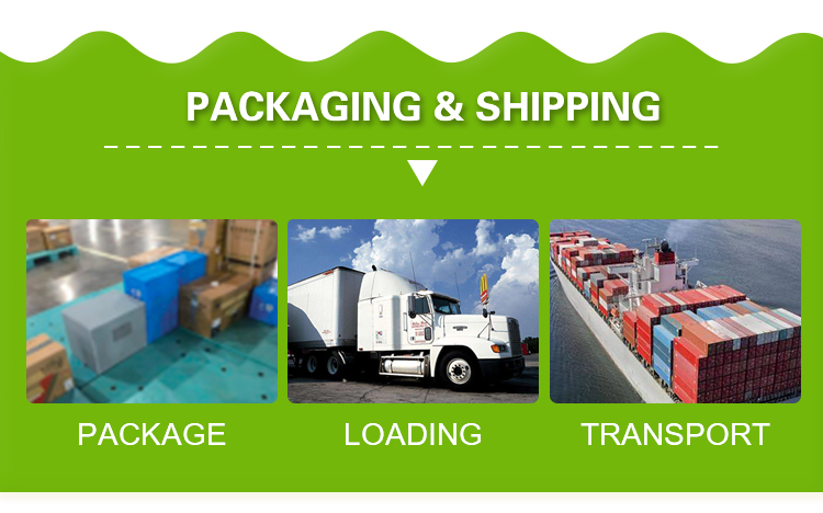 Corruone Waterproof Folding Polypropylene Corrugated Plastic Fruits Vegetables Asparagus/Ginger/Taro/Okra Packing box