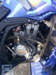 Gasoline Oil Pressure Disc 250CC Cargo Tricycle