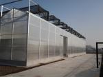 Sturdy And Large Greenhouse Agriculture Polycarbonate With Galvanized Steel