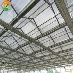 Venlo Polycarbonate Greenhouse for Flower and Vegetable Growing in Customized