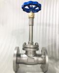 Stainless Steel Flanged Cryogenic Globe Valve SS304/SS316 For LNG/LOX/LN2/LAR