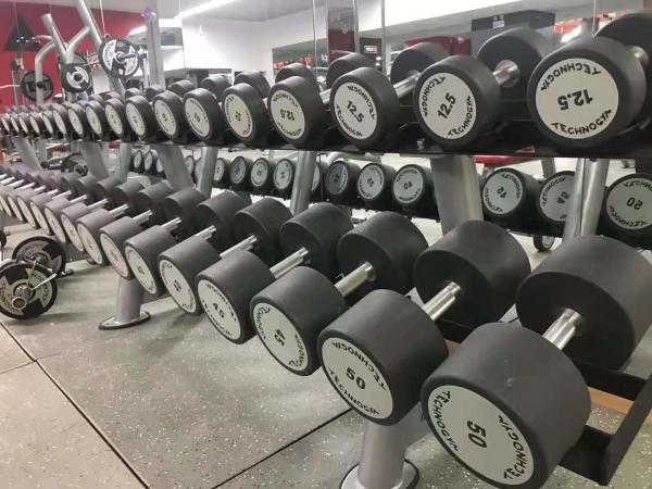 Cheap gym dumbbell for sale