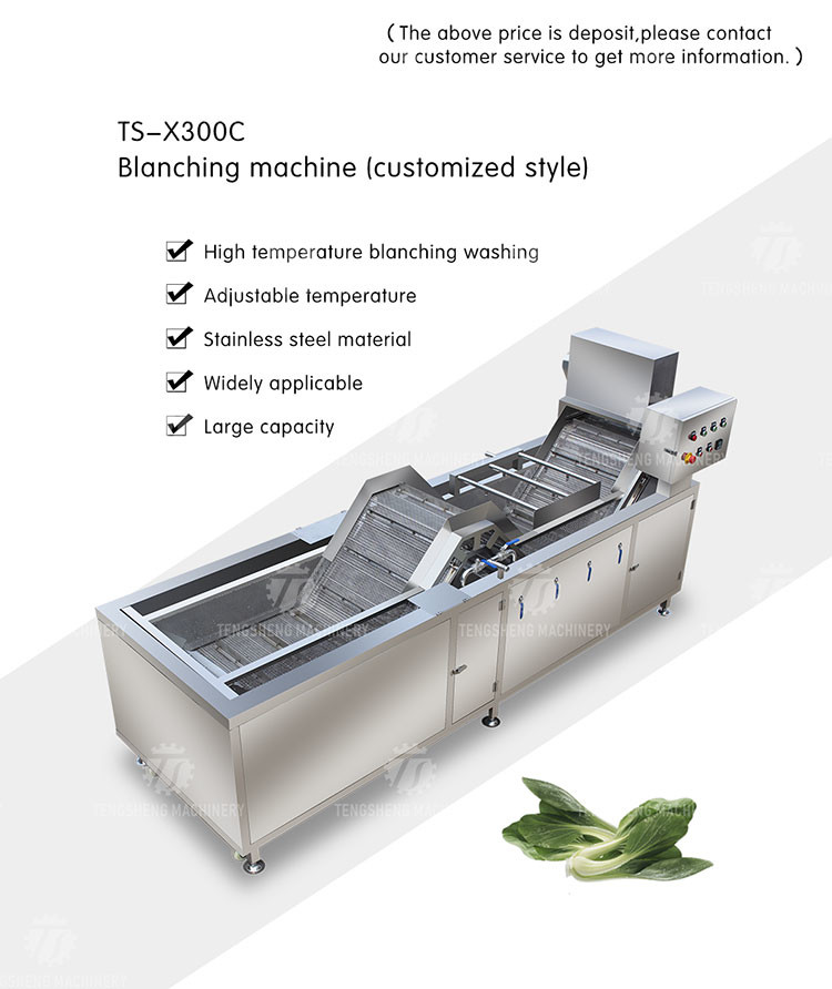 380V 3.5KW Stainless steel blanching machine bubble cleaning blanching equipment water bath spray equipment