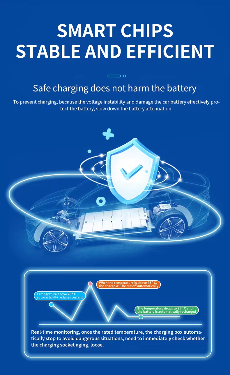 Customizable Plug Portable EV Charger 7KW TSL Model for Tesla Model Y and Model 3 Accessories