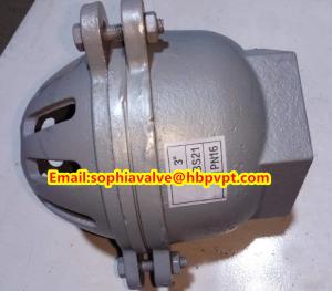 Quality female thread foot valve material GG20 wholesale