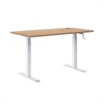 1.6M Electric Sit Stand Desk Ergonomic Lifting Standing Table