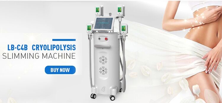 Medical 4 Handpiece Cryolipolysis Cryotherapy Cool Tech Cell Slimming Machine Price Fat