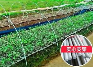 Quality 10mm Fiber Reinforced Plastic Rod Flexible Fiberglass Rods For Green House Planting wholesale