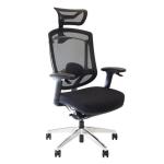 Marrit X Ergonomic Black Office Chair Executive Seating With Headrest Swivel