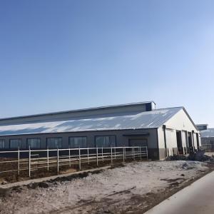 Quality Weld Steel Structure Cow Shed Construction , Temporary Livestock Shelter wholesale