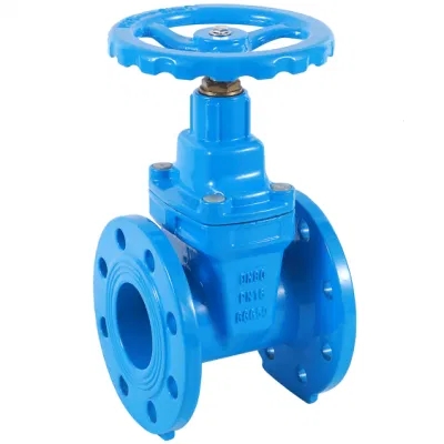 3 Inch CF8 Stainless Steel Flange Gate Valve with Y Type Strainer and Manual Control