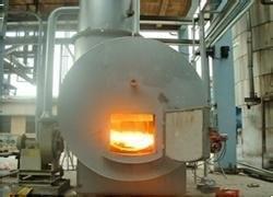 Quality Customized Medical Waste Incinerator Clinical Waste Incinerator Stainless Steel wholesale