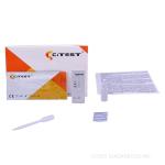 Typhoid IgG/IgM Rapid Test,Flow Immunochromatographic Assays , Infectious
