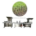 accuracy Seed Planter for Consistent and Sprout Planting in Vegetable Production