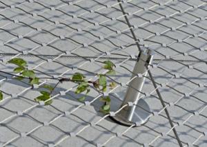 Quality Stainless Steel Rope Mesh / Plant Trellis Or Construction Building Facade Safety Net wholesale