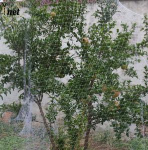 Quality Nylon Bird Proof Net White Bird Proof Garden Netting Lightweight wholesale