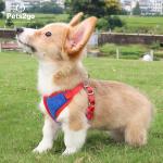 Nylon Oxford Lightweight 122G Comfort Dog Harness