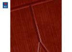 Interior 120 minutes Fire Rated Residential Fireproof Wooden Door