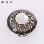 Eye Cosmetic Yearly Gray Contact Lens Colour 8.5mm Zero Power